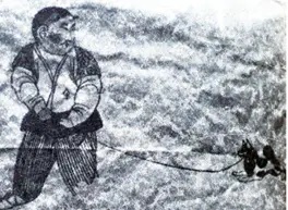 养狗管理条例什么时候实施,养狗条例哪年颁布的