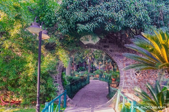 成都本地人去的最好吃的美食,中国姑娘吃成都美食