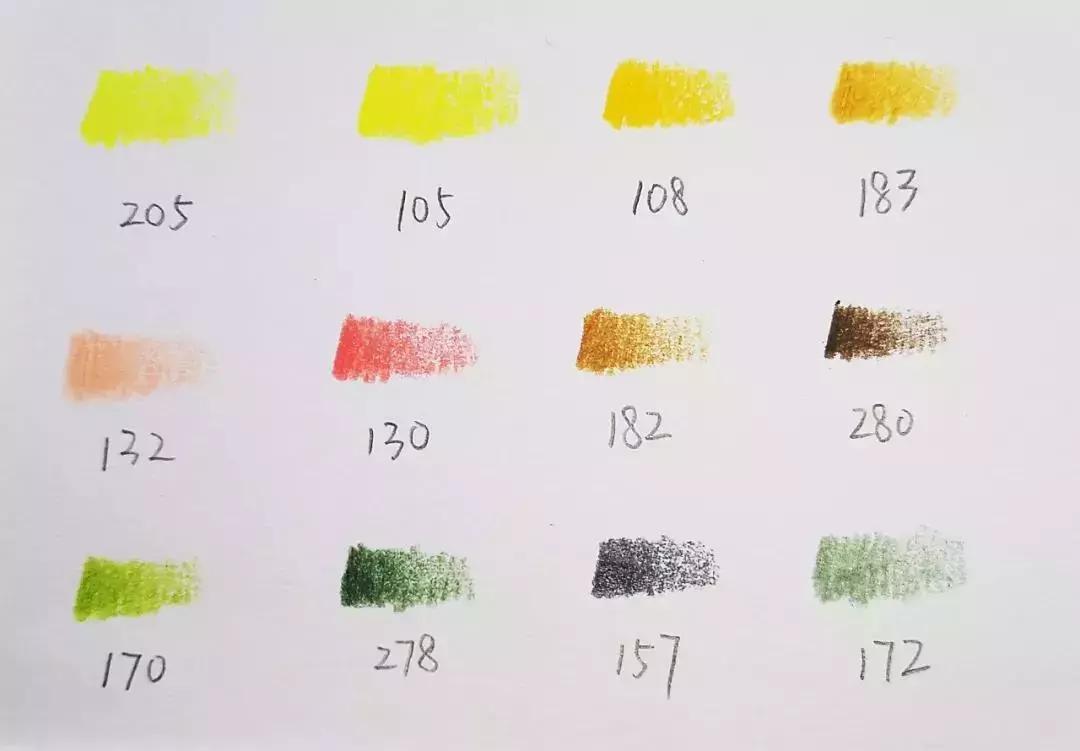 香梨彩铅画,彩铅肉肉的画法