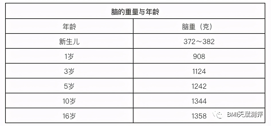 bmi儿童评判标准,bmi优秀等级的指数