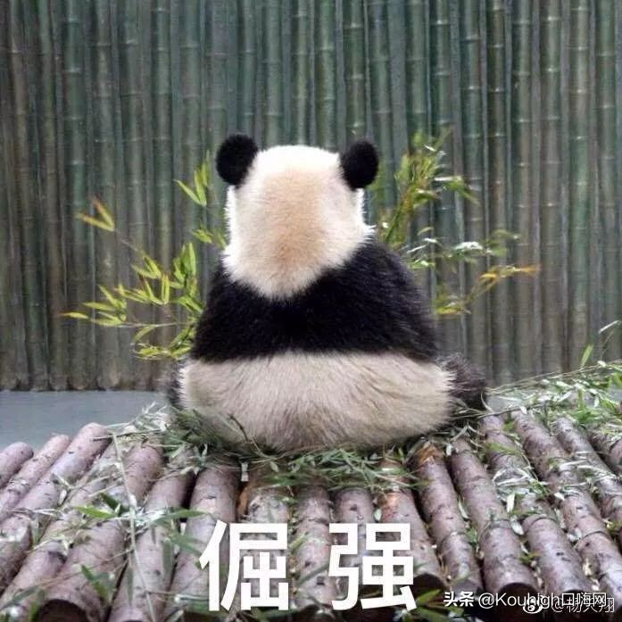 空气加湿器家用可爱,可爱的加湿器