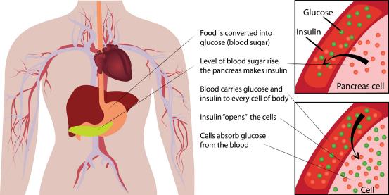 如何在耐力性运动中补糖,训练后补糖