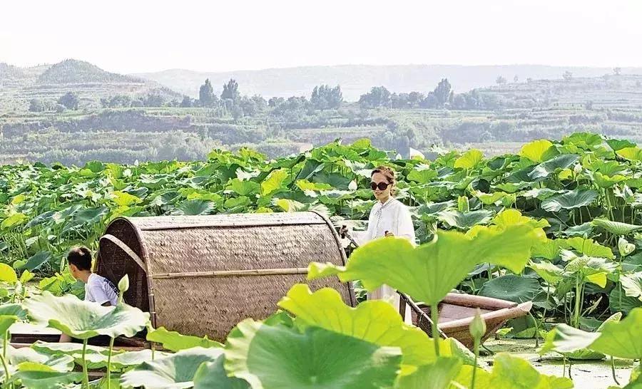 运城美丽乡村项目,运城市特色美丽乡村
