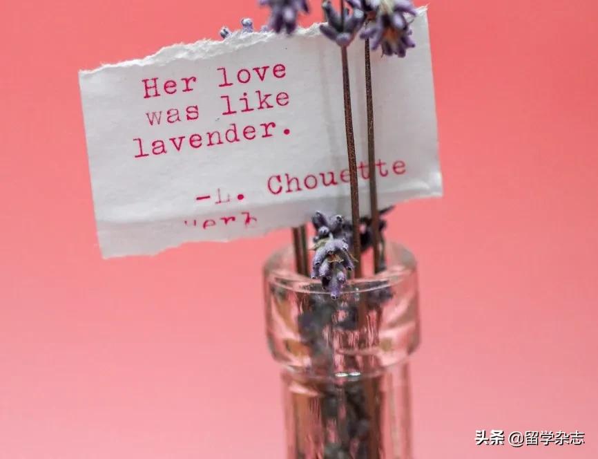 跨境电商的商业机遇,跨境电商高端商品