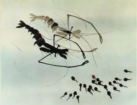 开明大戏院,哪个苏州人没去这里看过电影?