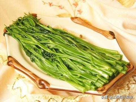 黎川水蕹菜和空心菜的区别,黎川水蕹菜与空心菜区别