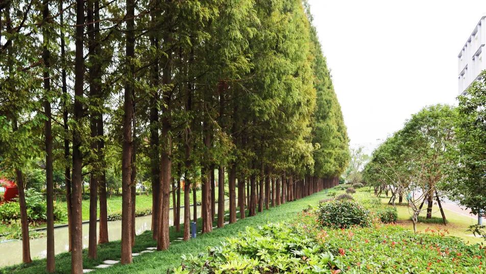 沪上“花园式”工地办公是怎样的体验？来看看这个白玉兰奖工程吧