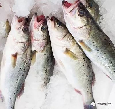 市场能买到的纯正海鱼有哪些,最便宜实惠的海鱼