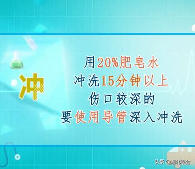 伤口没流血还需要消毒吗,被猪咬了流血了需要打狂犬疫苗吗
