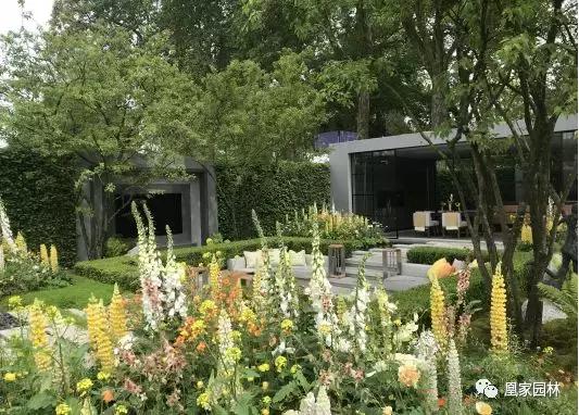 英国切尔西花展鸢尾花园,英国伦敦切尔西花卉展