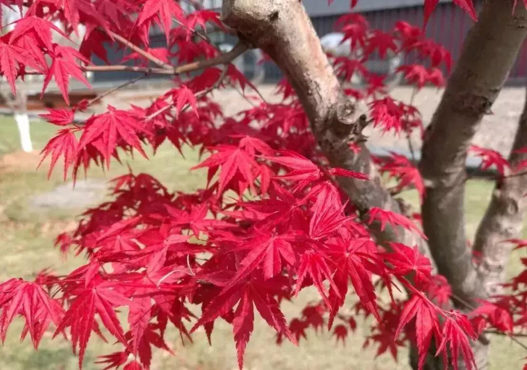 无锡遛娃户外免费,无锡惠山区遛娃好去处