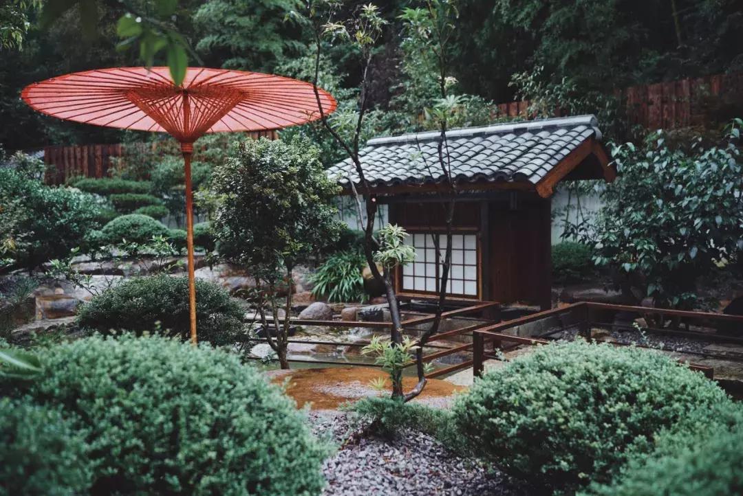 楠溪江的水有多美 (浙江楠溪江风景区怎么样)