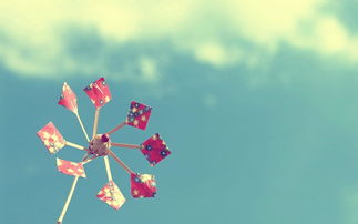 散文漫步乡间小路,散文阅读吟风