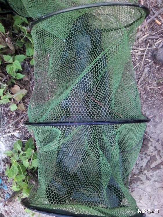 忙里偷闲抽点时间出来钓鱼,忙里偷闲去钓鱼的视频