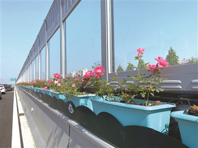 杭州市城建开发集团年收入,杭州市城建发展公司