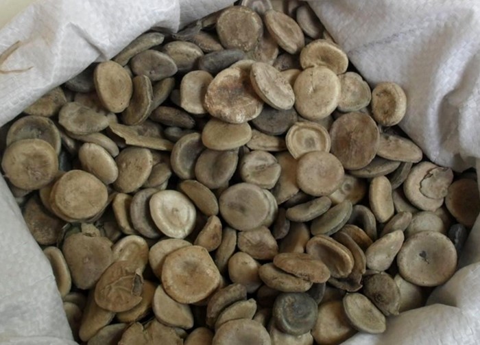 马钱子的前世今生:宫斗剧中的热门毒药,竟是治腰痛良药