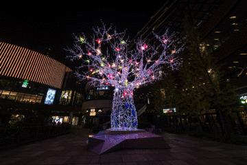 上海有圣诞树的地方,上海魔都圣诞树