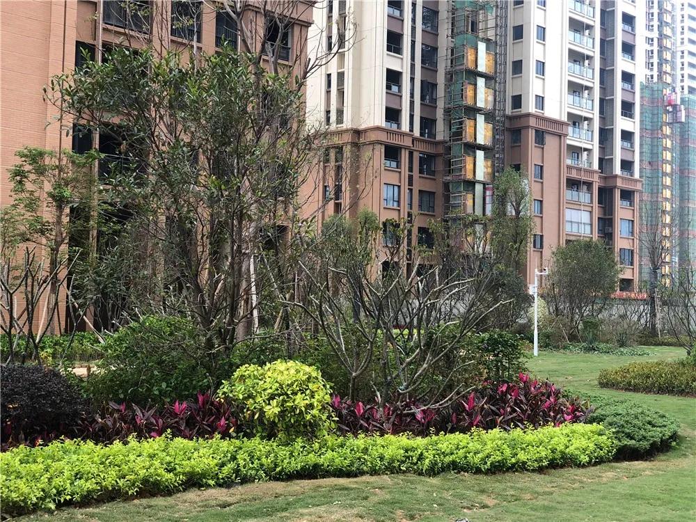 石湾有没有低首付房,首付30万佛山买什么房