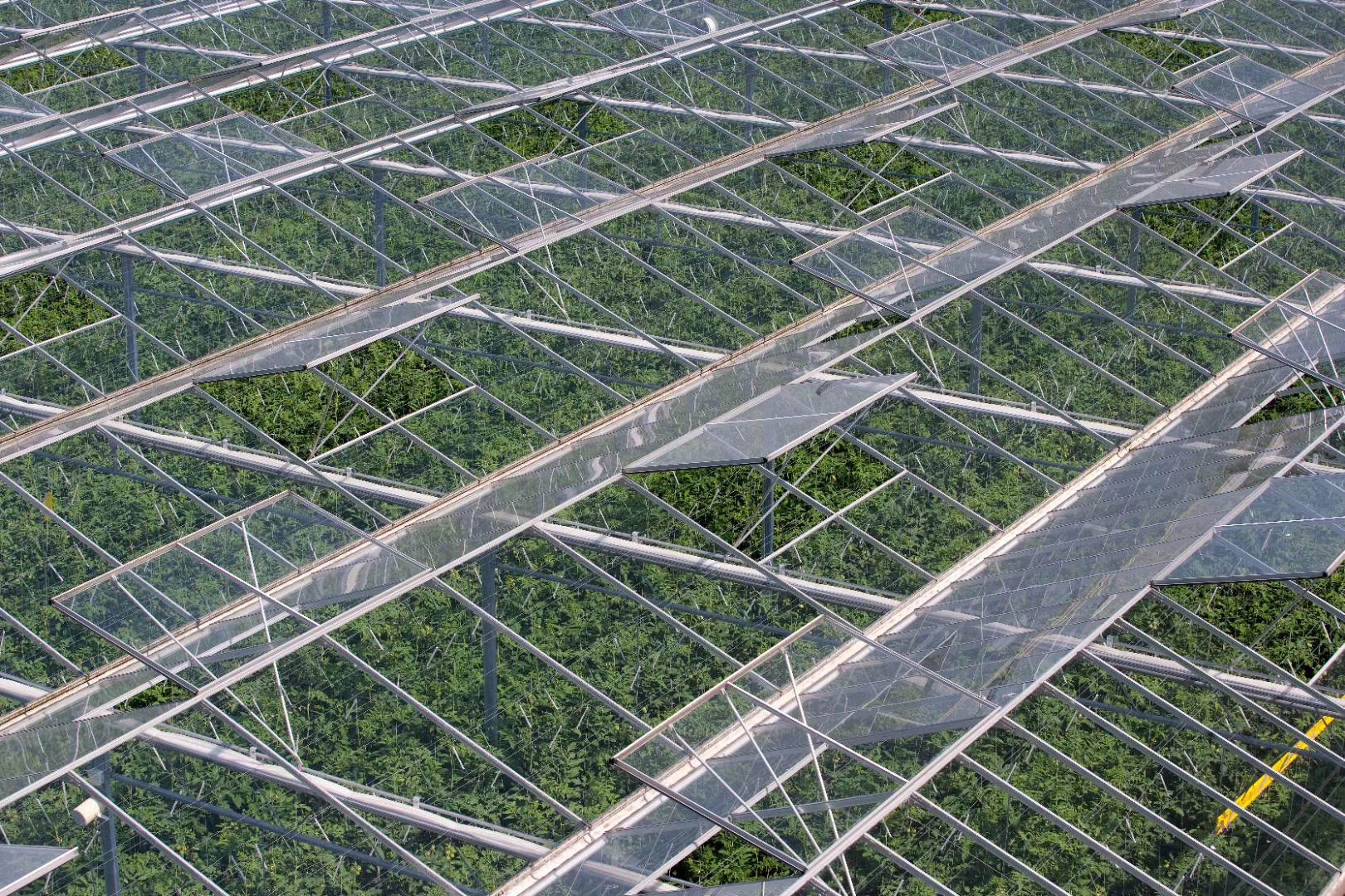 温室大棚的总结与展望,智能化温室大棚的优势