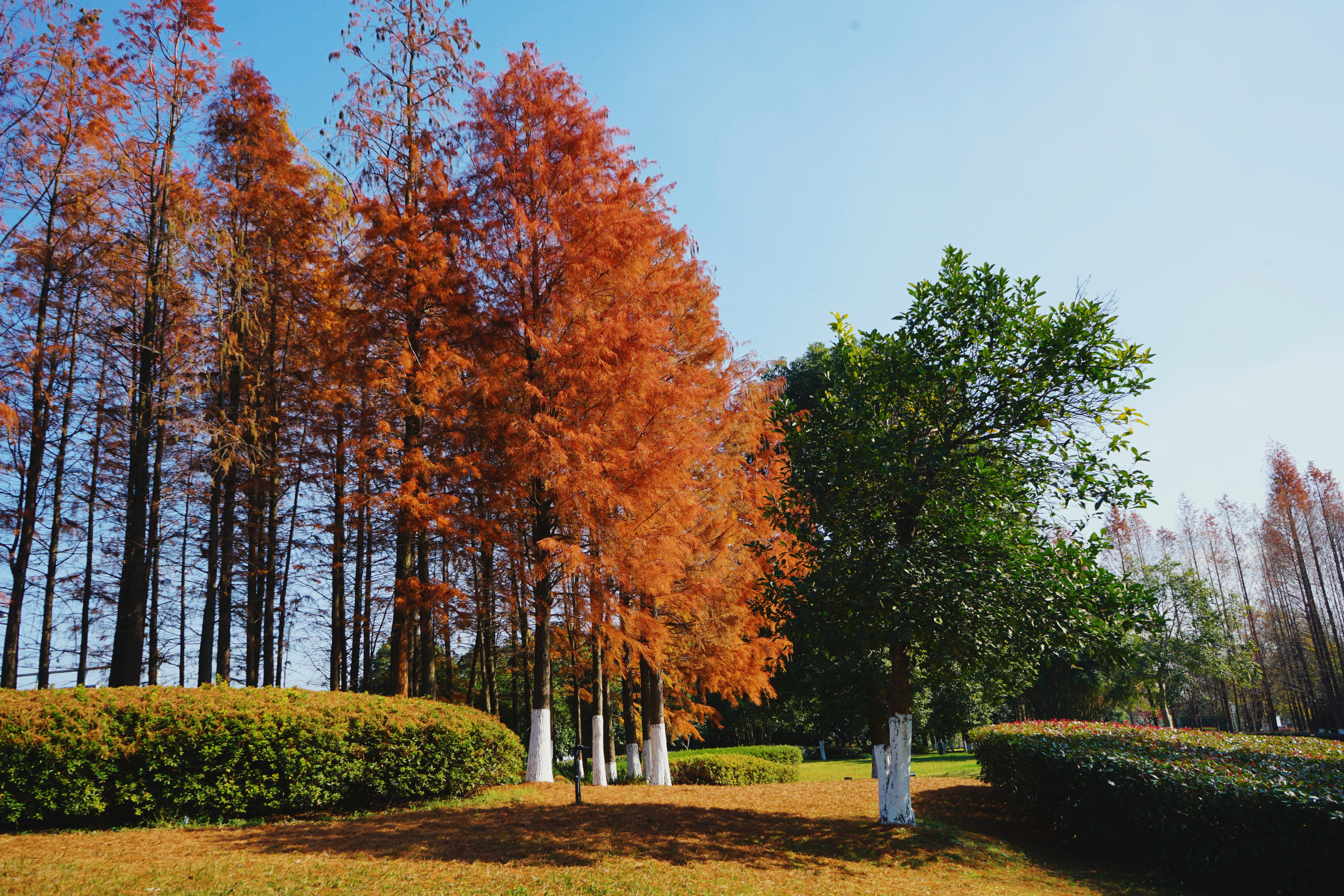 良渚君澜双人温泉,冬日暖阳泡温泉