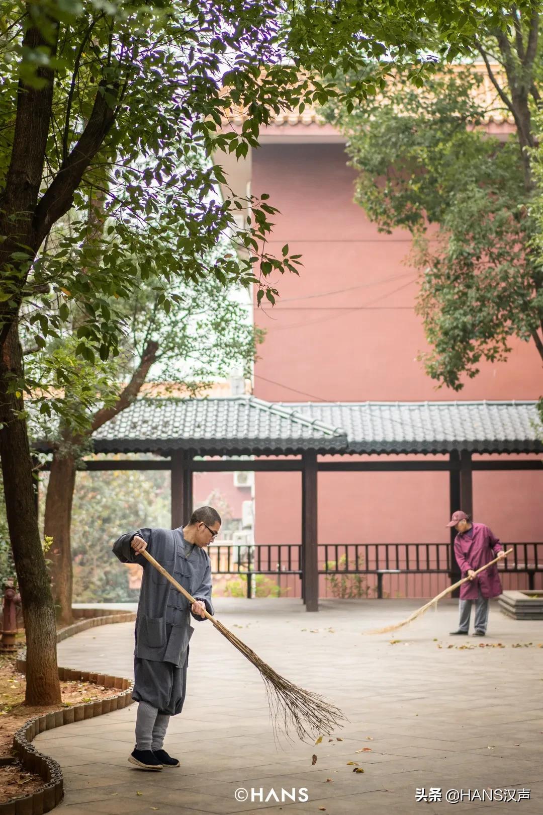 抖音网红为什么出家,灵泉寺武汉短期出家