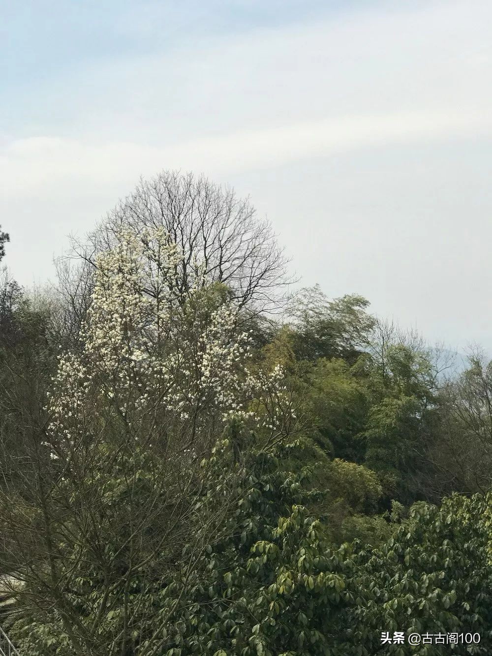 越王峥大峡谷：风景壮美，迷倒众生
