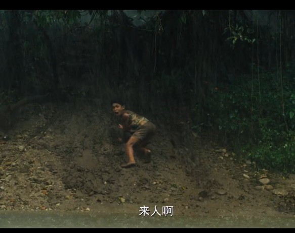 传奇的诞生贝利集锦,传奇的诞生贝利长大