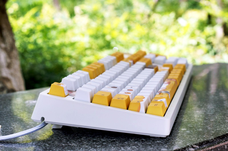 黑爵小键盘推荐,黑爵毛茸茸键盘测评