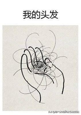 嗨团：小菲洗护居然是假货？？