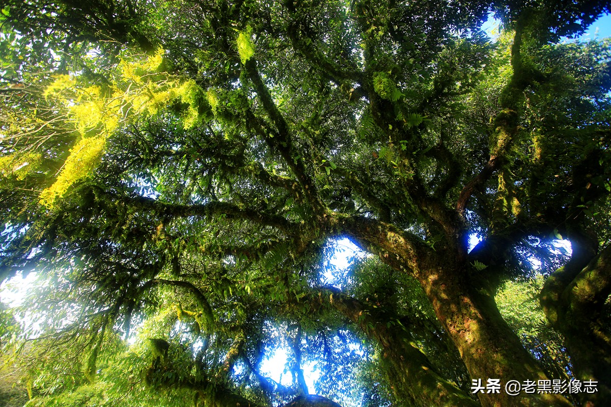 无量山镇游玩攻略一日游,无量山旅游攻略一日游多少钱