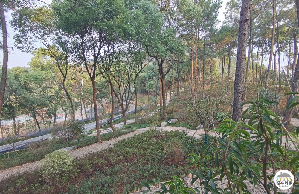 临平体育馆改扩建有篮球场吗,体育公园篮球场施工