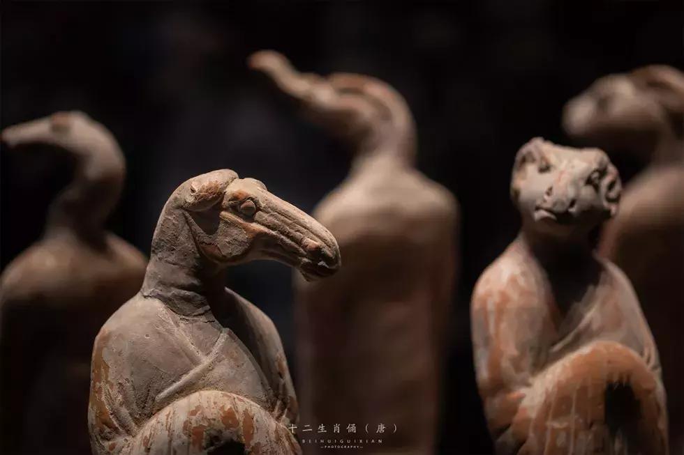 30张让人惊讶的历史震撼照片,展现中国陕西历史博物馆的微视频