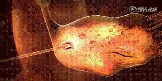 一定要警惕的骗局,警惕这些骗子套路