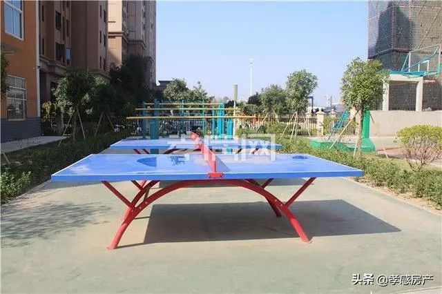 实探城际小学！东城区已招生投用学校