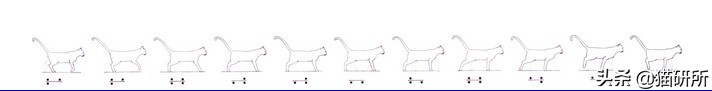 猫步怎么走八字步,猫步的基本动作图片