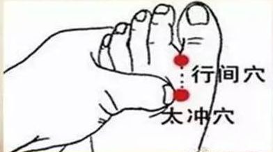 三月宜养肝做好四件事肝好百病消,百病从肝治穴位