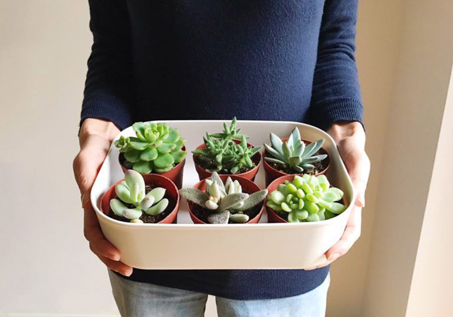 家居收纳日本主妇收纳秘笈大公开,日本主妇如何收纳冰箱蔬菜