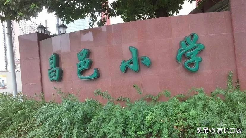 上海热门小学隐藏技：芭蕾、乒乓、游泳、书法、科技……样样有