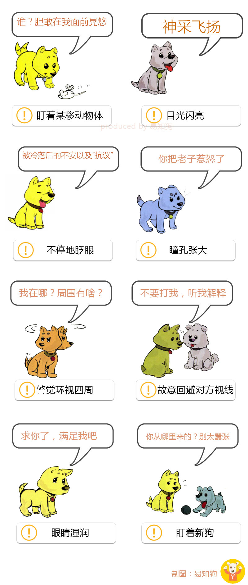 狗狗尾巴动作代表的含义,狗狗的尾巴动作代表的含义