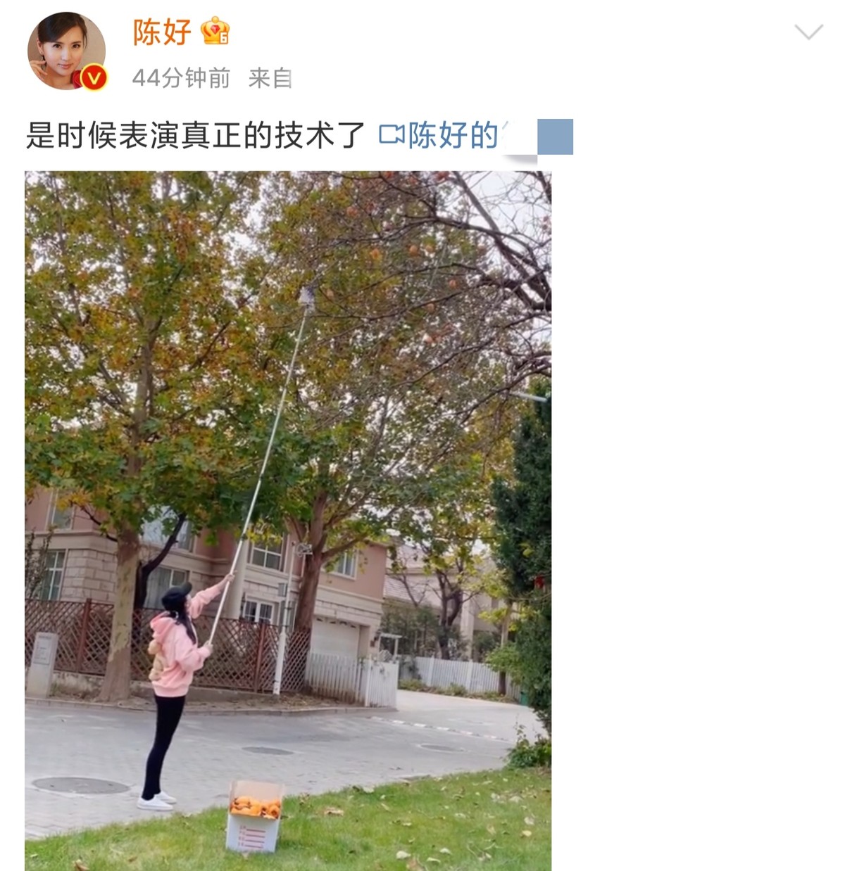 陈好身穿深蓝色礼服亮相,陈好最新穿衣图