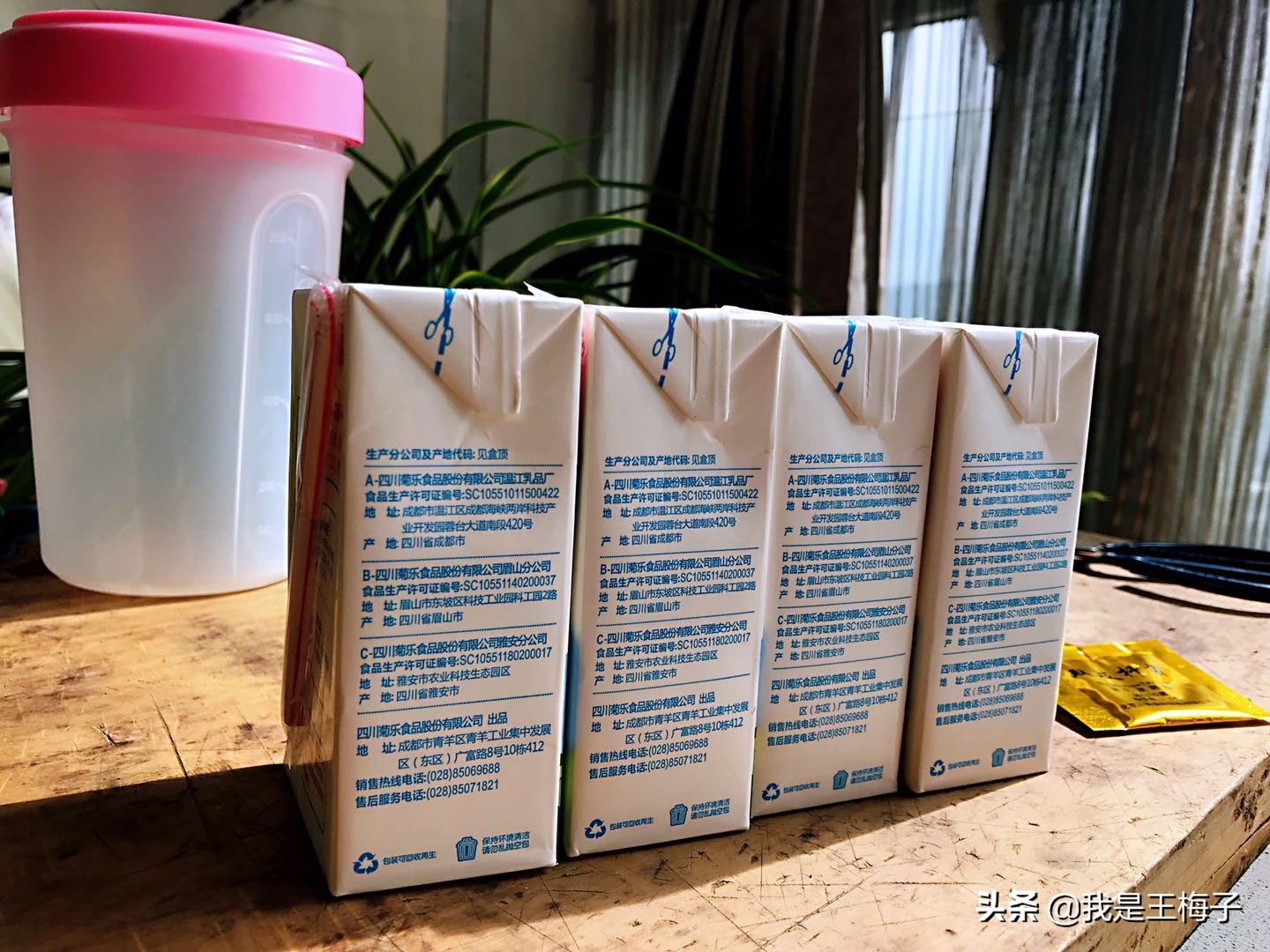 自制酸奶不凝固有发酵的味道,自己在家做酸奶没成功可以补救吗