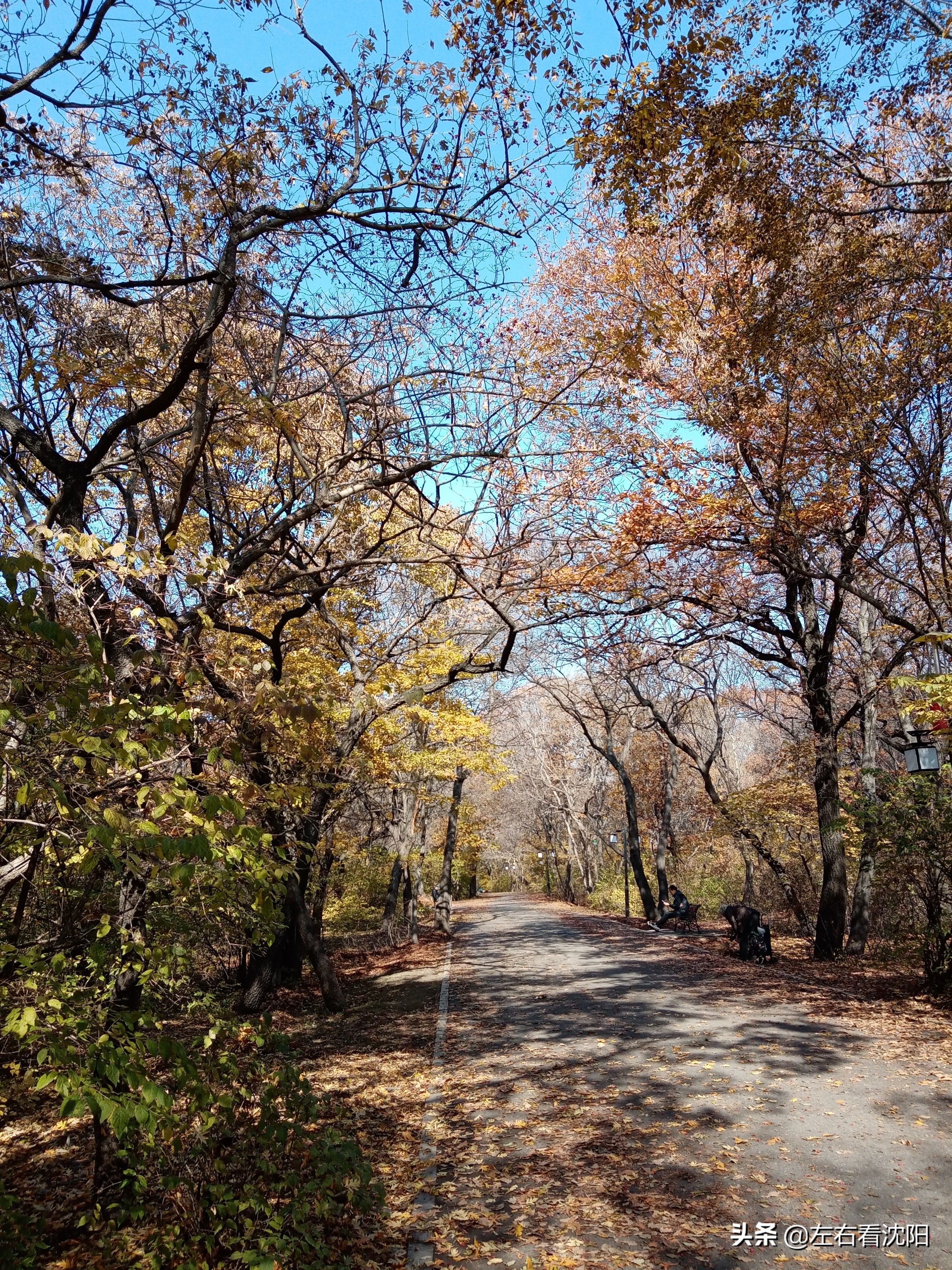 秋季沈阳北陵公园有啥好玩的,漫步沈阳北陵公园湖水边