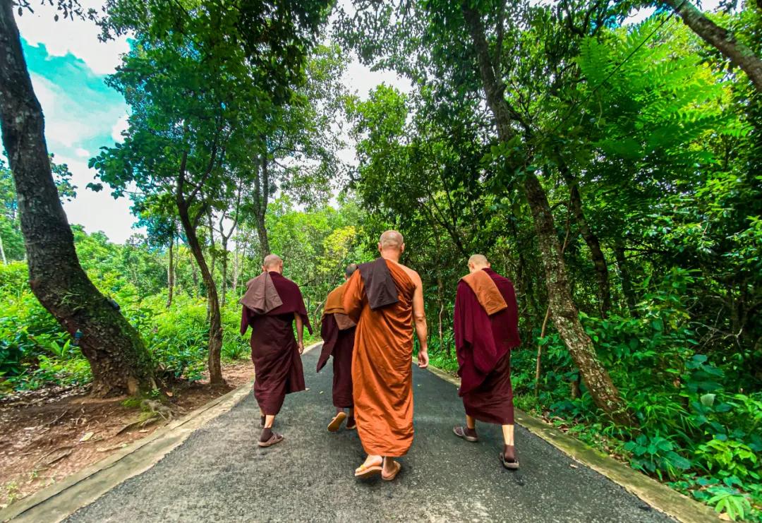 泰国西双版纳旅行,西双版纳基诺山热带雨林徒步