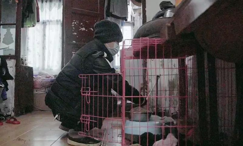 武汉开锁匠上门喂猫外卖员,武汉开锁师傅24小时上门电话