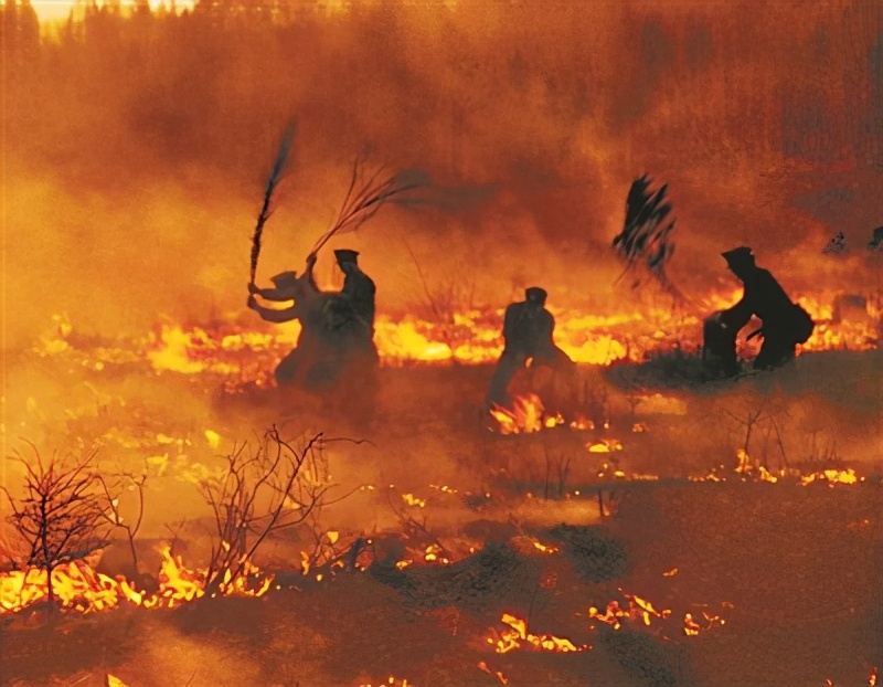 一九八七大火灾原因,回望火灾