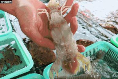 珠海有哪些海鲜街,珠海南屏海鲜街