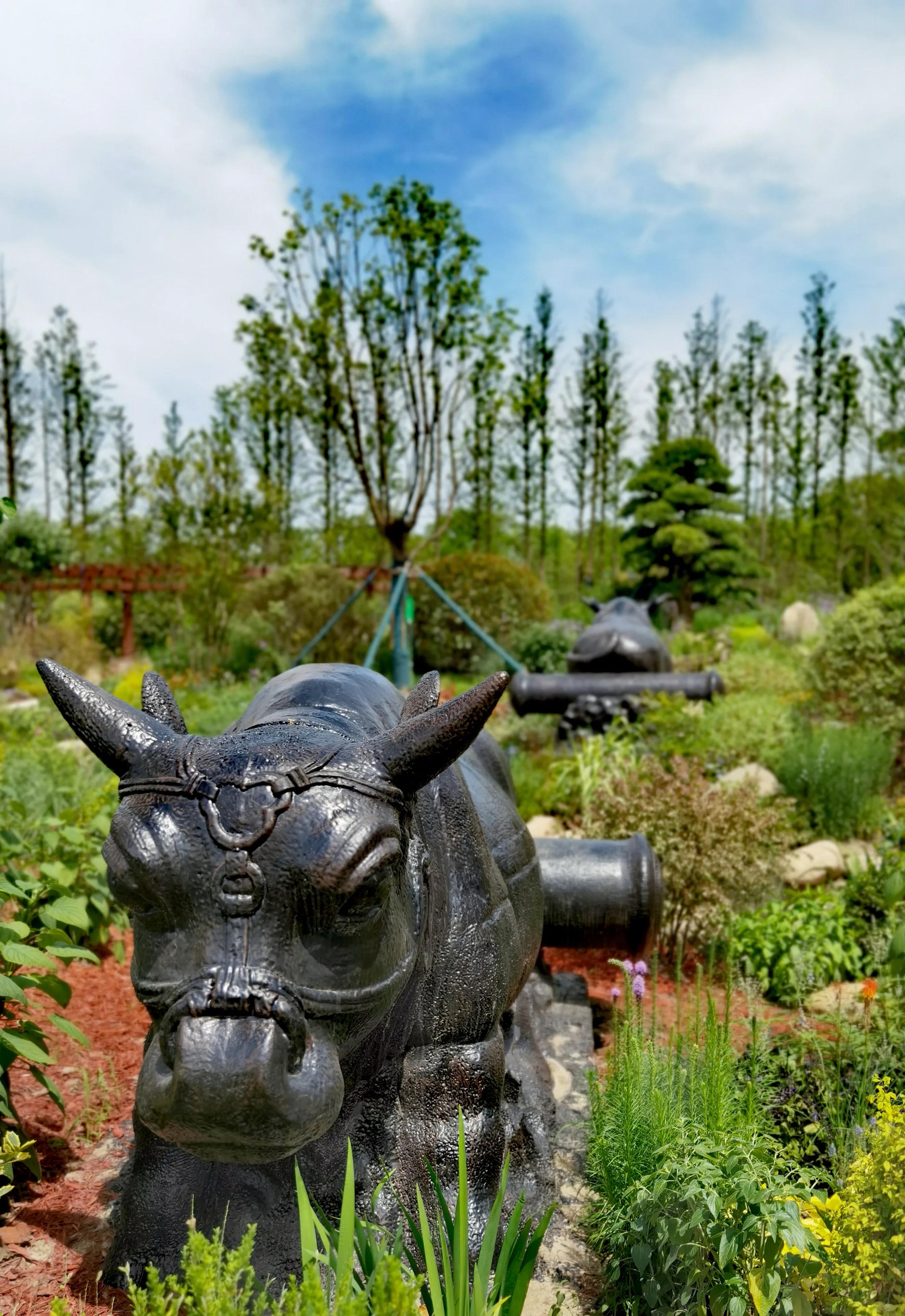 关于崇明花博会,崇明花博会全程花景