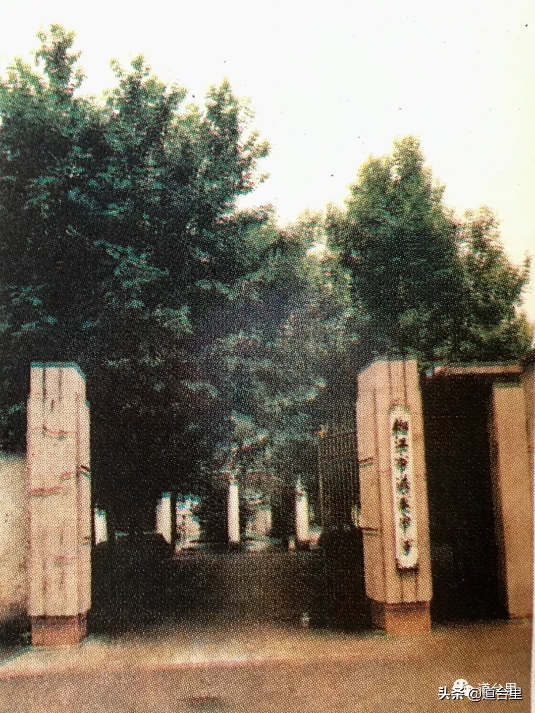 重回20年前的母校记忆,椒江学校老照片