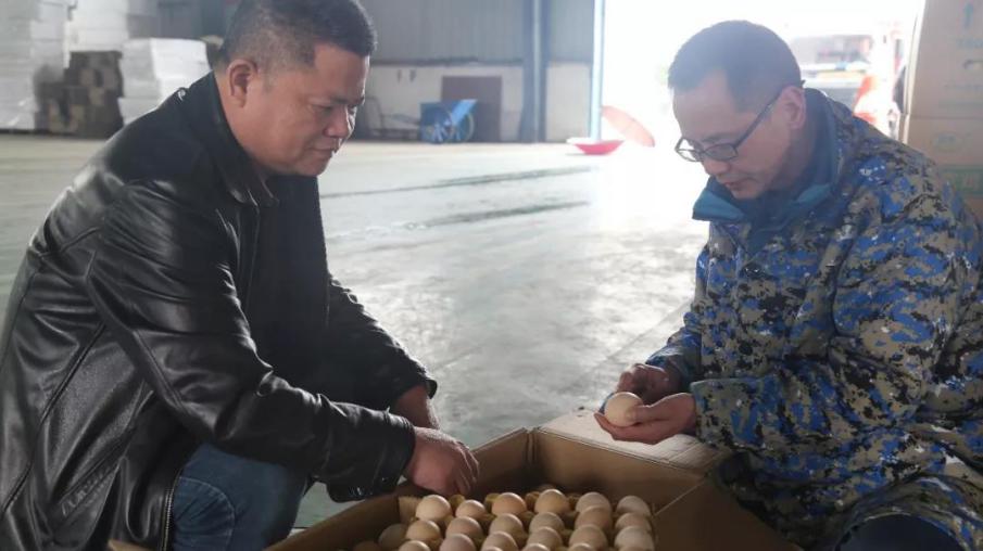 湖南饲料大王：辞去铁饭碗创业，如今公司年产值超4亿