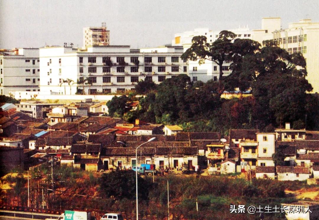 大浪地名,大浪有哪些地名